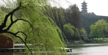 清明节荡秋千的来历故事