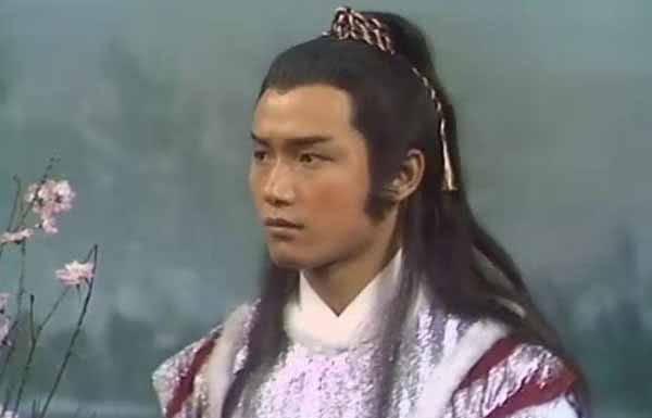 杨再兴是谁的儿子