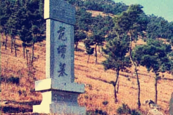 鸿门宴范增人物分析