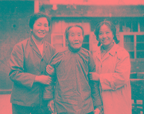 杨三姐告状真实故事概况