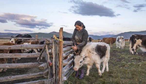 康乾盛世是个笑话什么意思