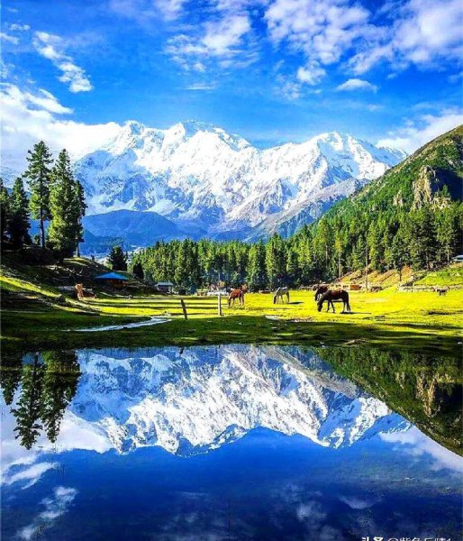 南亚有哪几个国家组成