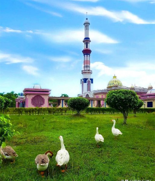 南亚有哪几个国家组成