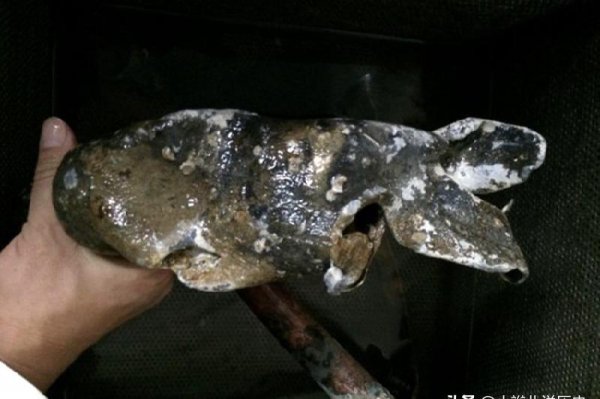 邓世昌的舰叫啥名