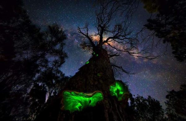 为什么以前有鬼火现在很少有