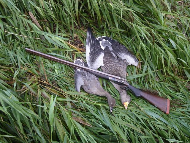 霰弹枪在战场上的作用