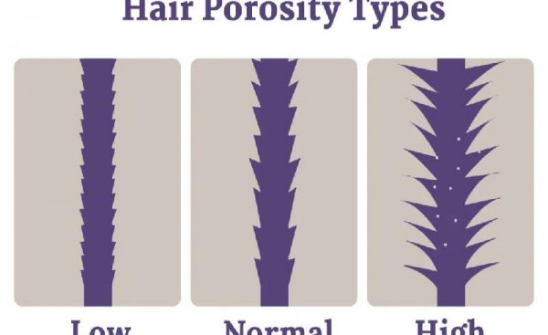 中国自来卷是什么血统