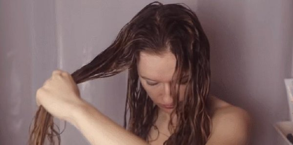 中国自来卷是什么血统