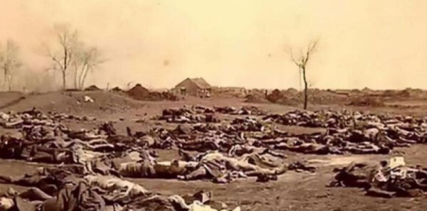 丁戊奇荒最吓人的片段