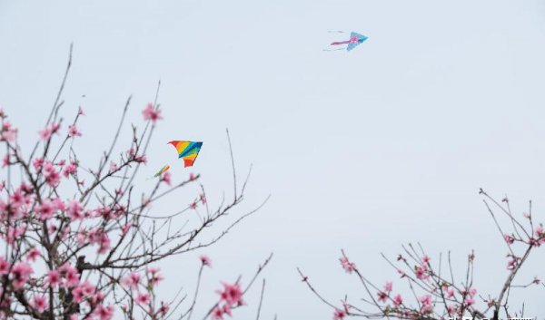 一个女人真正放下你的表现