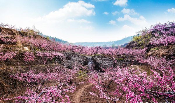 刘禹锡的代表作品有哪些及名句