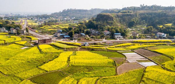 刘禹锡的代表作品有哪些及名句