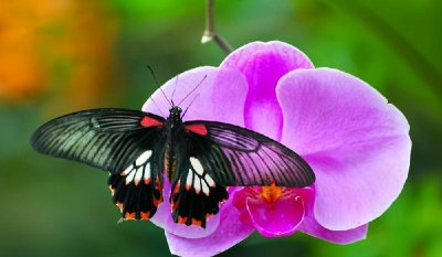 管住嘴少说话的妙招 怎么让自己管住嘴不要乱说话