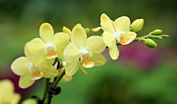 管住嘴少说话的妙招