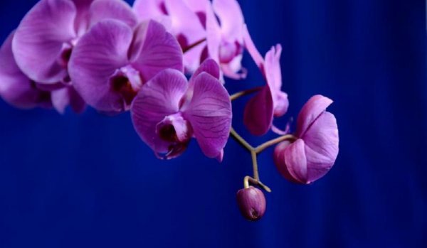 管住嘴少说话的妙招