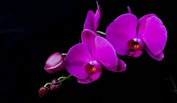 管住嘴少说话的妙招