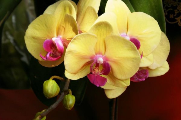 管住嘴少说话的妙招