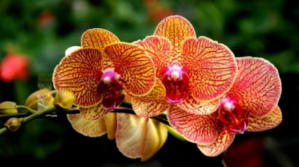 管住嘴少说话的妙招