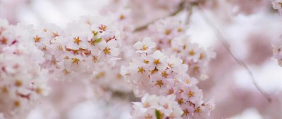 像猫一样撒娇的星座女 特别爱像猫咪一样撒娇的星座女