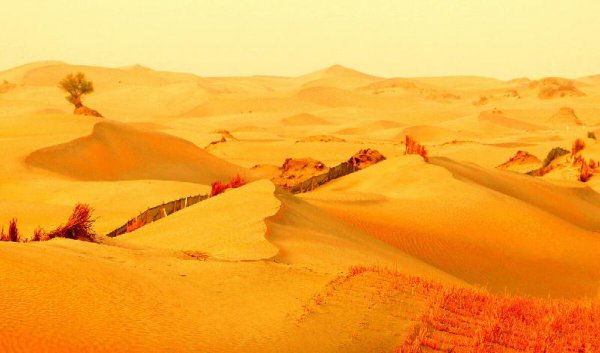 新疆塔克拉玛干沙漠简介