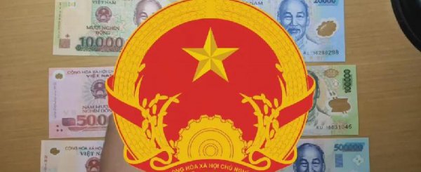 越南币50万图片及价格