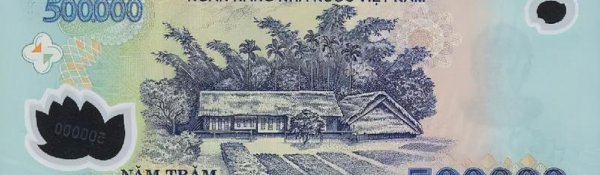 越南币50万图片及价格
