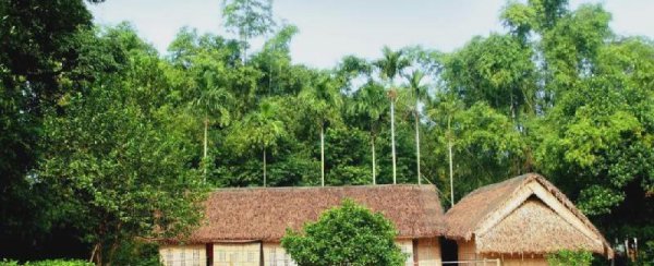 越南币50万图片及价格