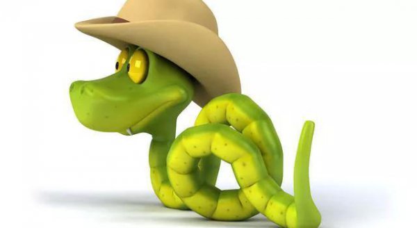 鸽子落入窗台吉利吗