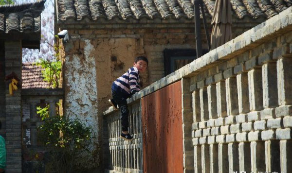 前不栽芍药后不栽牡丹什么意思