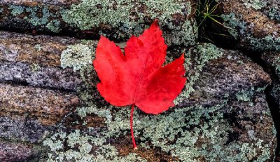 一个缺心眼的人是什么性格 缺心眼是不是人品有问题