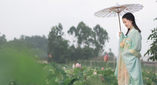 豆蔻年华是什么意思