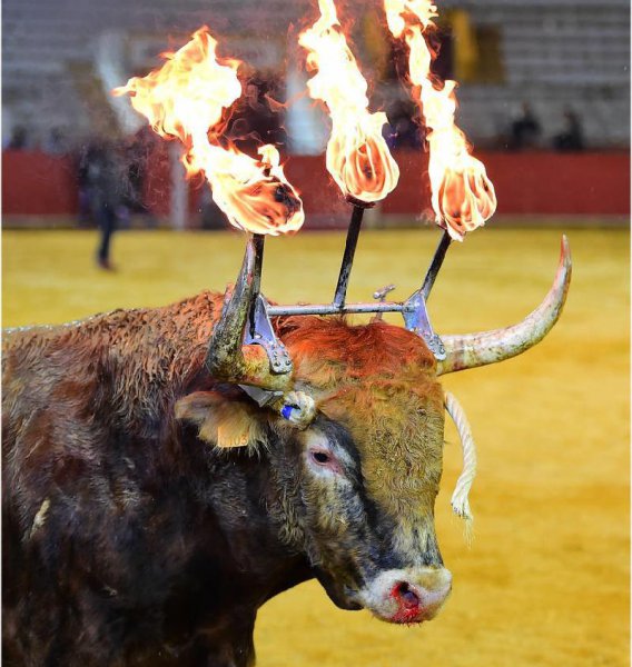 五国伐齐齐国如何复国