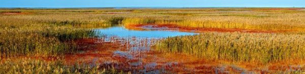 母亲河黄河为什么叫黄河