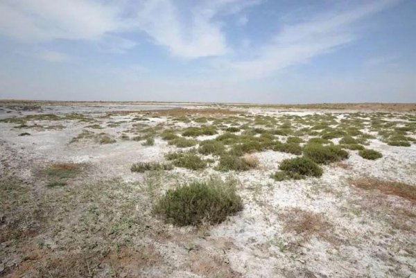 母亲河黄河为什么叫黄河