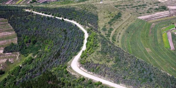 母亲河黄河为什么叫黄河