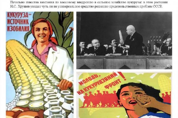 赫鲁晓夫传玉米什么意思