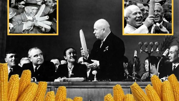 赫鲁晓夫传玉米什么意思