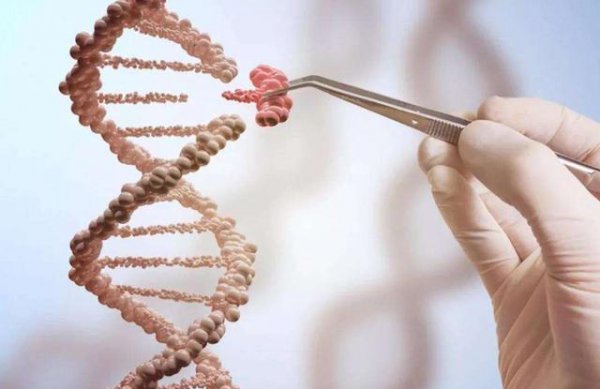 人的寿命由什么决定