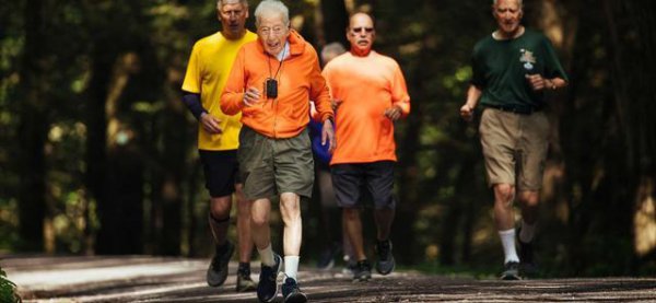 人的寿命由什么决定