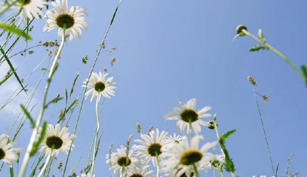 相忘于江湖是分手吗