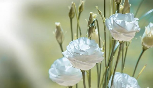 相忘于江湖是分手吗