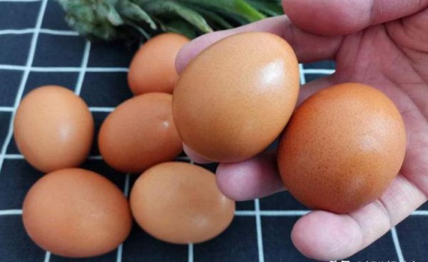 鸡蛋如何保存时间更长大头朝上