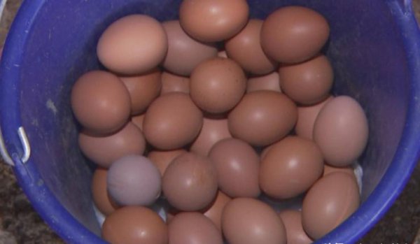 鸡蛋如何保存时间更长大头朝上