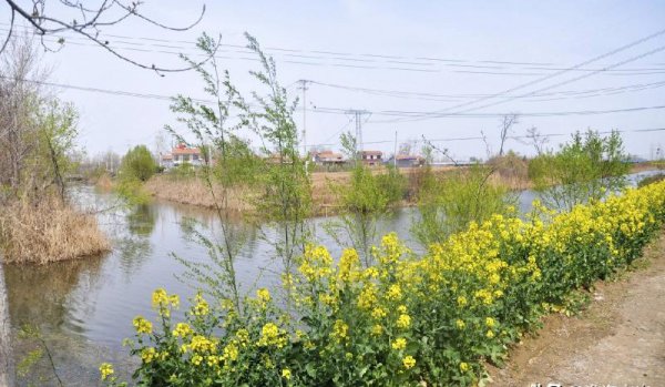 荆轲是现在的哪里人