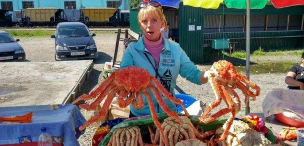 库页岛面积多少平方公里