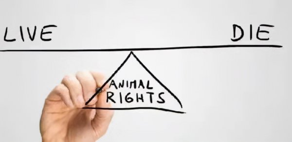 人在死之前有什么预兆