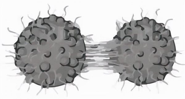 人在死之前有什么预兆