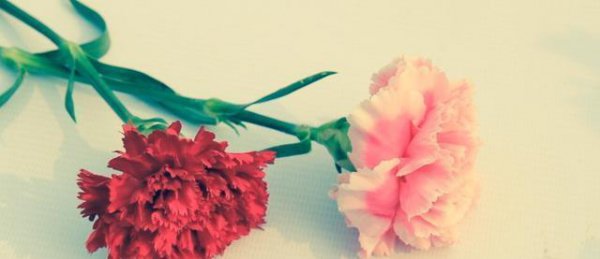 三八国际劳动妇女节的由来意义