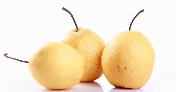 河北的特产是什么最出名