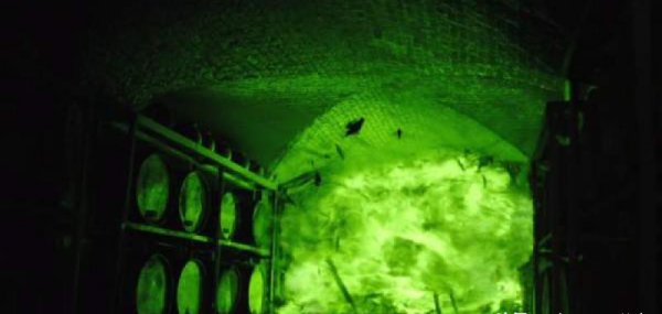 龙妈原著中的结局